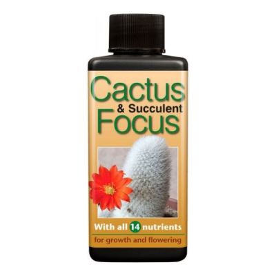Cactus Focus 100ml Bottle